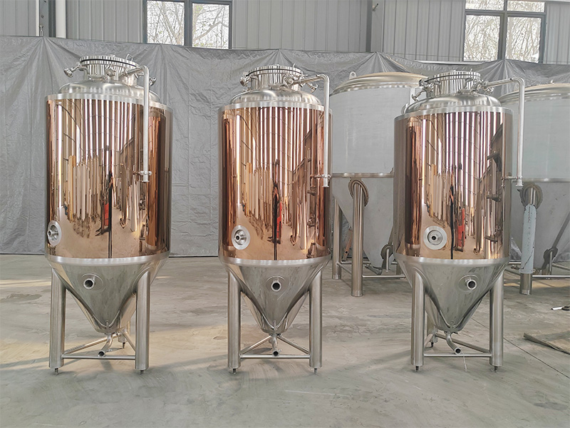 3_0004_300L Fermentation Tank.jpg